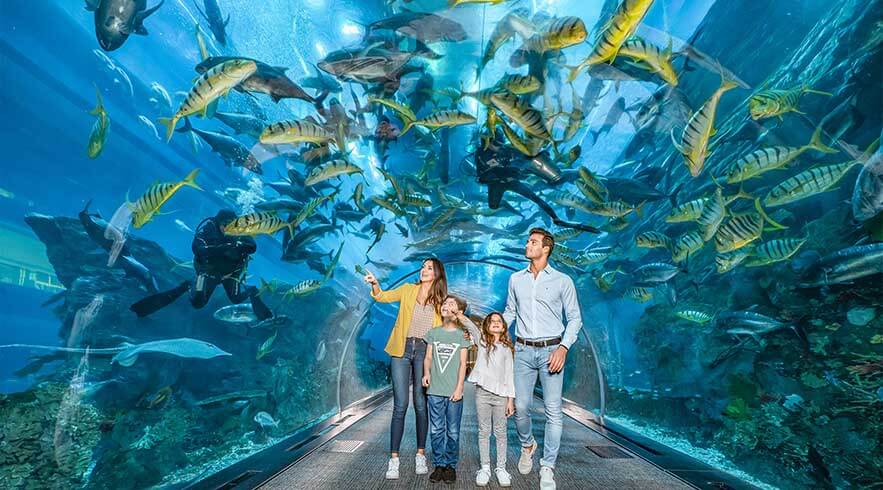Dubai-Aquarium-Underwater-Zoo